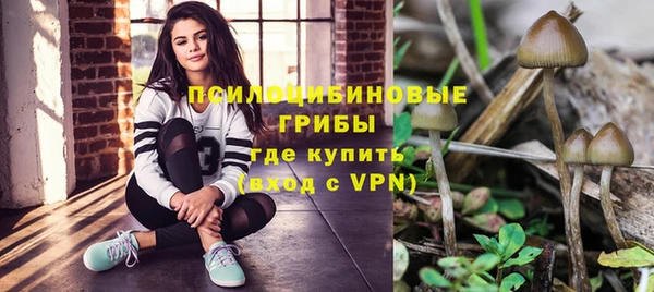 дживик Армянск