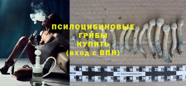 винт Арсеньев