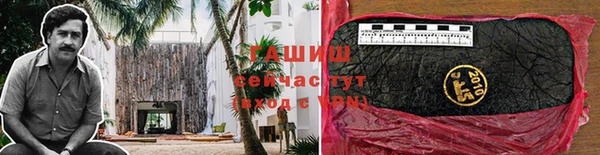 эйфоретик Аркадак