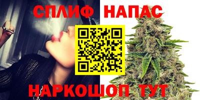 ECSTASY Аргун