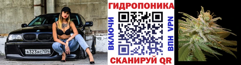 Марихуана сатива  цена   Асбест 